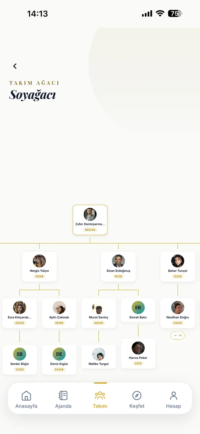 Team tree: who sits under whom, opening level by level.